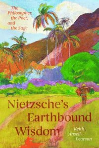 bokomslag Nietzsche's Earthbound Wisdom