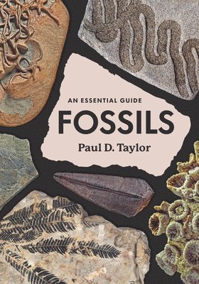 Paul D. Taylor - Fossils: An Essential Guide, Inbunden