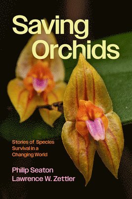 bokomslag Saving Orchids: Stories of Species Survival in a Changing World