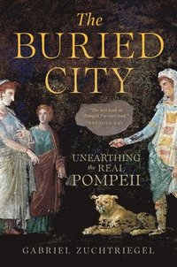 bokomslag The Buried City: Unearthing the Real Pompeii