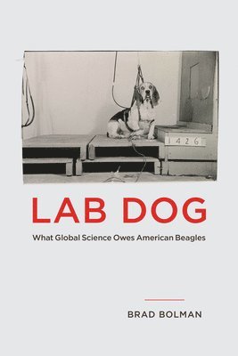 bokomslag Lab Dog