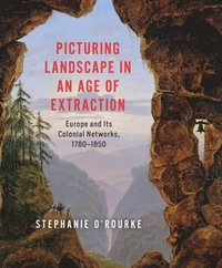 bokomslag Picturing Landscape in an Age of Extraction