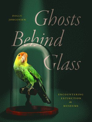 Dolly Jørgensen - Ghosts Behind Glass, Häftad