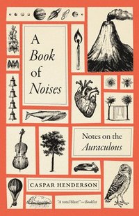 bokomslag A Book of Noises: Notes on the Auraculous