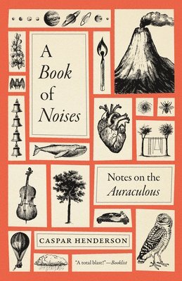 Caspar Henderson - A Book of Noises – Notes on the Auraculous, Häftad