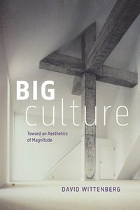 bokomslag Big Culture