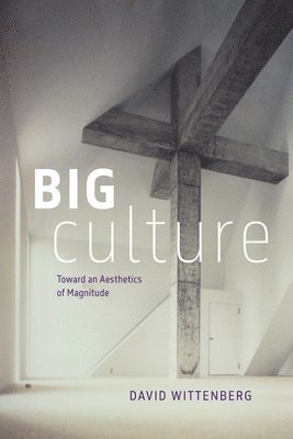 bokomslag Big Culture