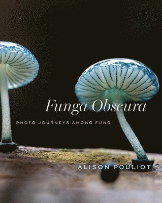 bokomslag Funga Obscura