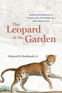 bokomslag The Leopard in the Garden: Animal and Human Lives in Paris at the First Public Zoo of the Modern Era