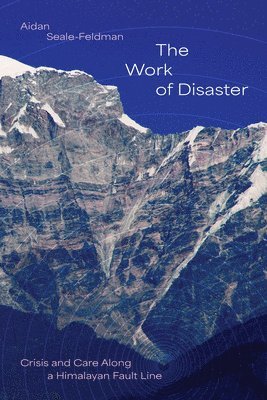 bokomslag Work of Disaster