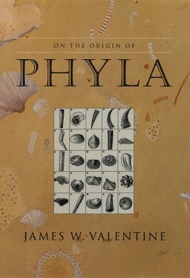 On the Origin of Phyla 1