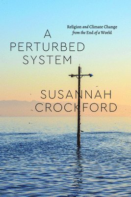 Susannah Crockford - Perturbed System, Häftad