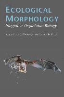 Ecological Morphology 1