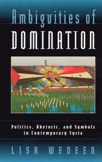 bokomslag Ambiguities of Domination