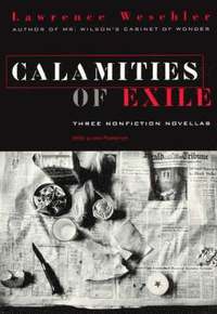bokomslag Calamities of Exile