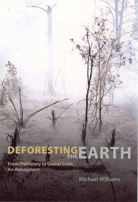 Deforesting the Earth 1