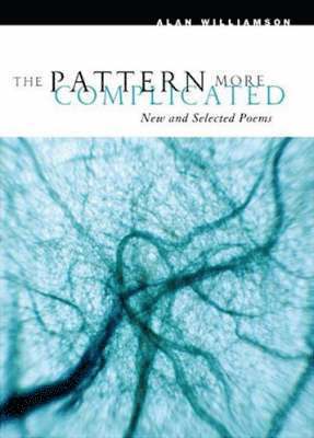 Alan Williamson - Pattern More Complicated, Häftad