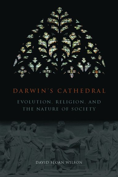 David Wilson - Darwin`s Cathedral – Evolution, Religion, and the Nature of Society, Häftad