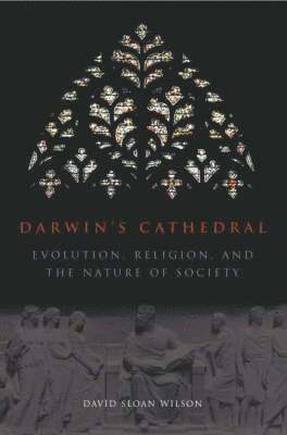 bokomslag Darwin`s Cathedral  Evolution, Religion, and the Nature of Society