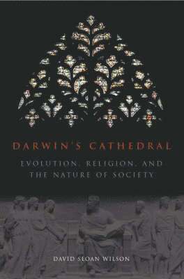 bokomslag Darwin`s Cathedral - Evolution, Religion, and the Nature of Society