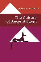 bokomslag The Culture of Ancient Egypt
