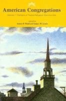 American Congregations: v. 1 Portraits of Twelve Religious Communities 1