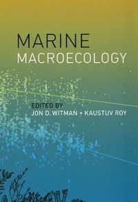 bokomslag Marine Macroecology