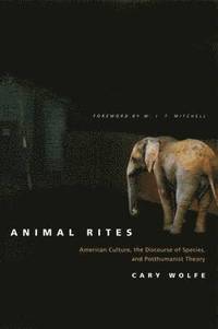 bokomslag Animal Rites