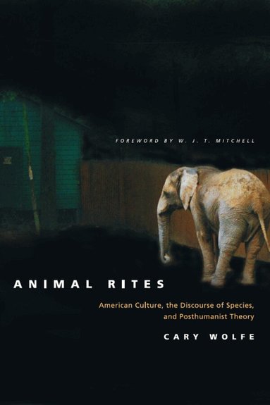 Cary Wolfe - Animal Rites, Häftad