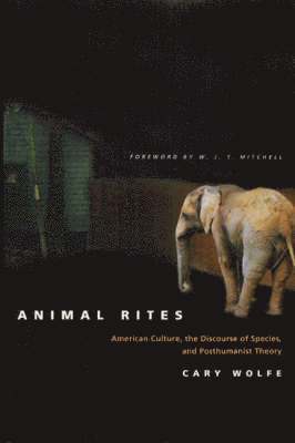 Animal Rites 1