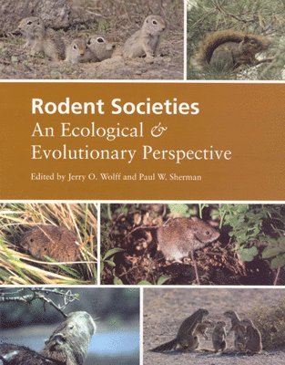 bokomslag Rodent Societies