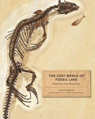 The Lost World of Fossil Lake 1