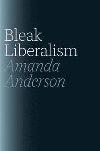 bokomslag Bleak Liberalism
