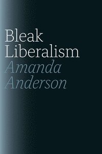 bokomslag Bleak Liberalism