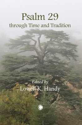 Lowell K. Handy - Psalm 29 through Time and Tradition, Häftad