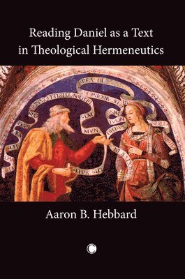 Aaron B. Hebbard - Reading Daniel as a Text in Theological Hermeneutics, Häftad