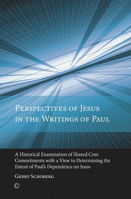 Gerry Schoberg - Perspectives of Jesus in the Writings of Paul, Häftad