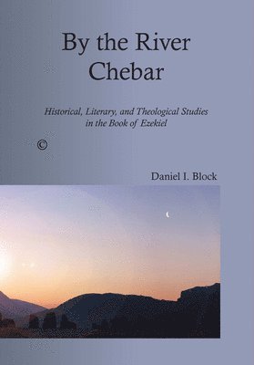 Daniel I. Block - By the River Chebar, Häftad