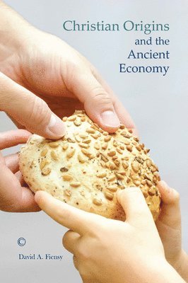 David A. Fiensy - Christian Origins and the Ancient Economy, Häftad