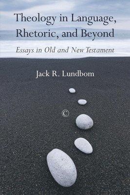 Jack R. Lundbom - Theology in Language, Rhetoric, and Beyond, Häftad