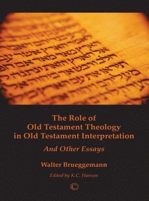 Walter Brueggemann, K.C. Hanson - Role of Old Testament Theology in Old Testament Interpretation, Häftad