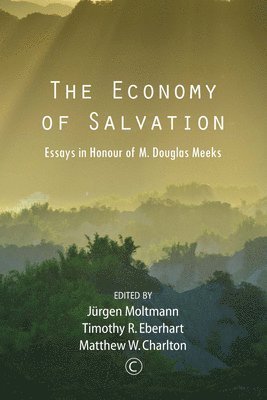 Jurgen Moltmann, Matthew W. Charlton, Timothy R. Eberhart - Economy of Salvation, Häftad