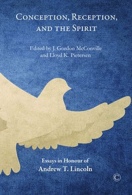 Lloyd K. Pietersen, J. Gordon McConville - Conception, Reception, and the Spirit, Häftad