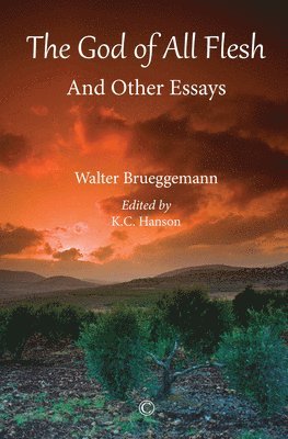 Walter Brueggemann, K. C. Hanson - God of All Flesh, Häftad