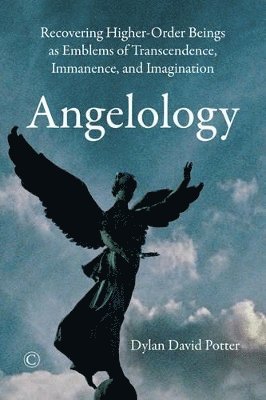 bokomslag Angelology