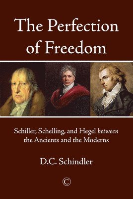 D.C. Schindler - Perfection of Freedom, Häftad