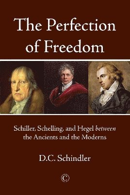 D.C. Schindler - Perfection of Freedom, Häftad