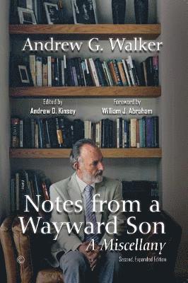 Notes from a Wayward Son 1
