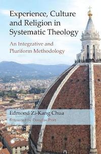 bokomslag Experience, Culture and Religion in Systematic Theology