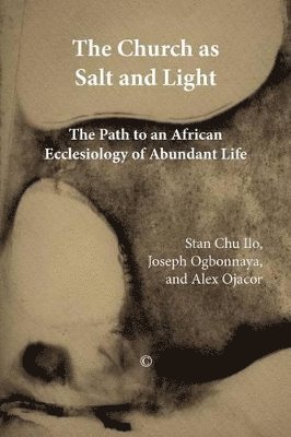 Joseph Ogbonnaya, Stan Chu Ilo, Alex Ojacor - Church as Salt and Light, Häftad